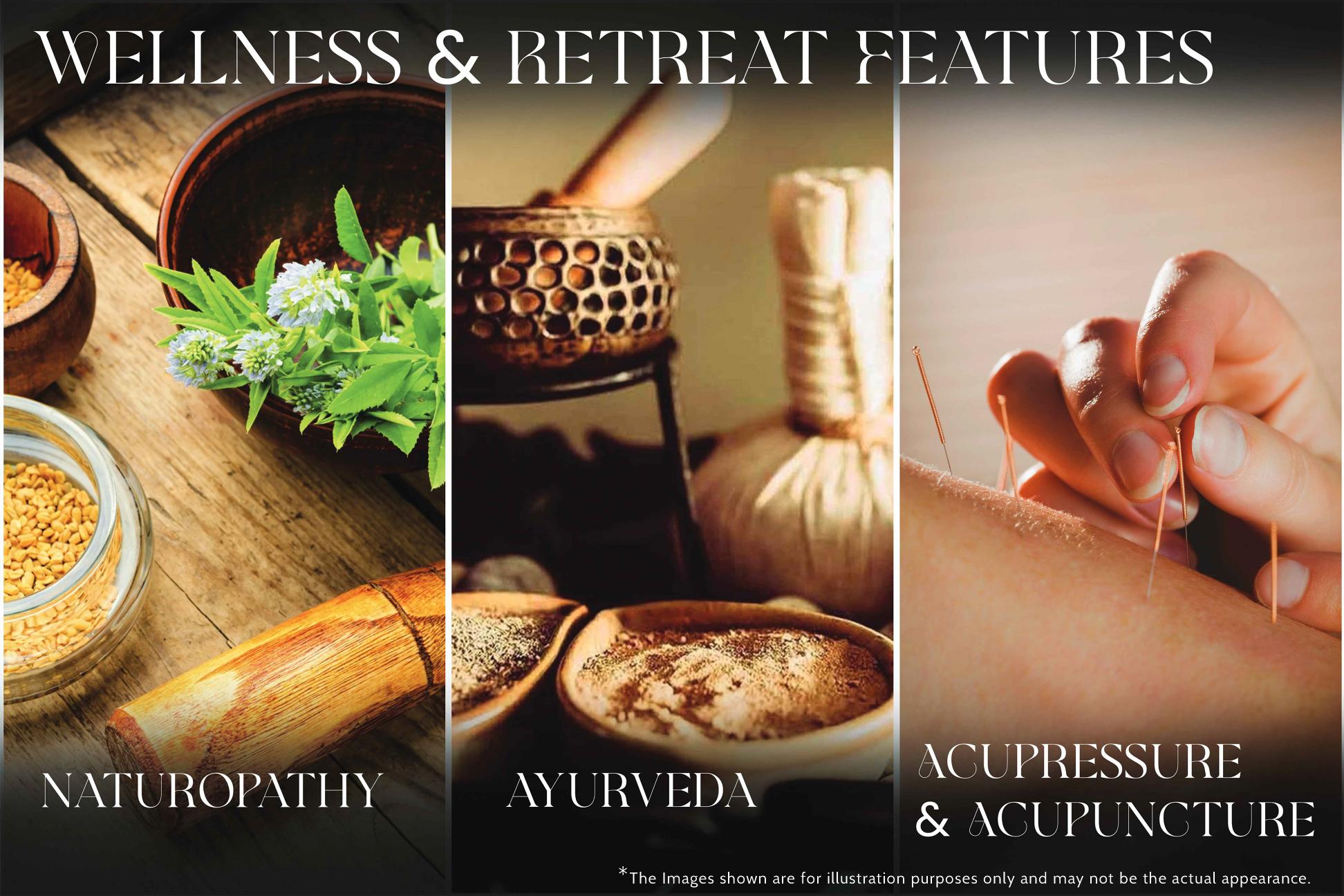 Wellness